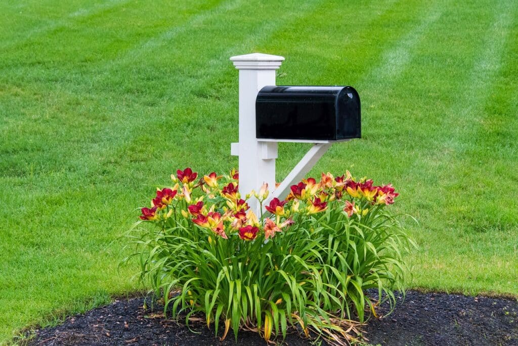 mailbox, flowers, flower background, beautiful flowers, postbox, flower wallpaper, mohan, nannapaneni, nature, letterbox